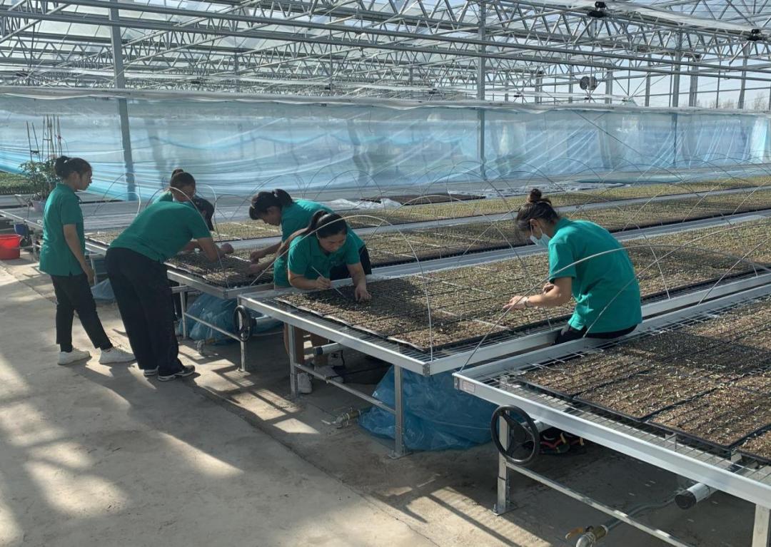 育苗基地规划建设,育苗基地建设计划书