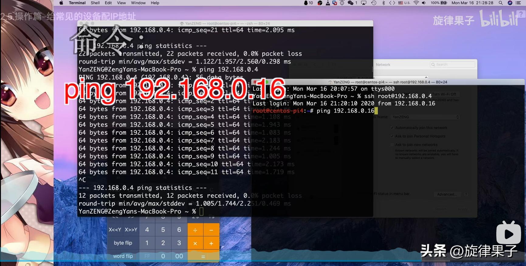 ip地址分配操作,mac地址绑定解决ip冲突