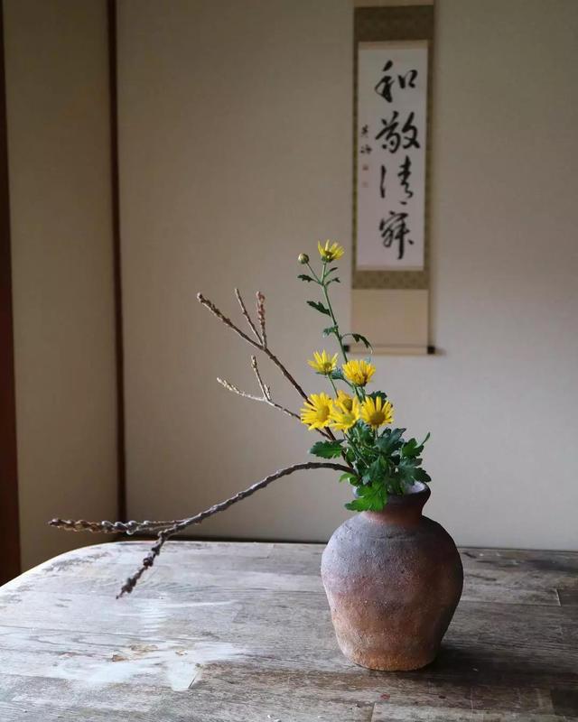 不会插花的句子,不会插花怎么办