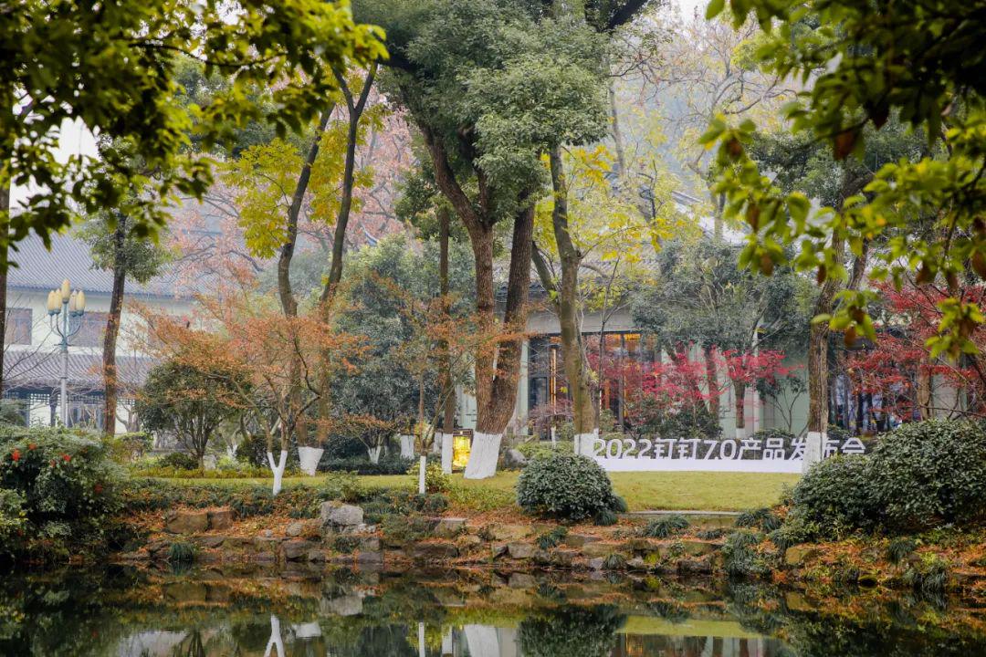 钉钉的运营底层逻辑,钉钉解决组织发展六大难题