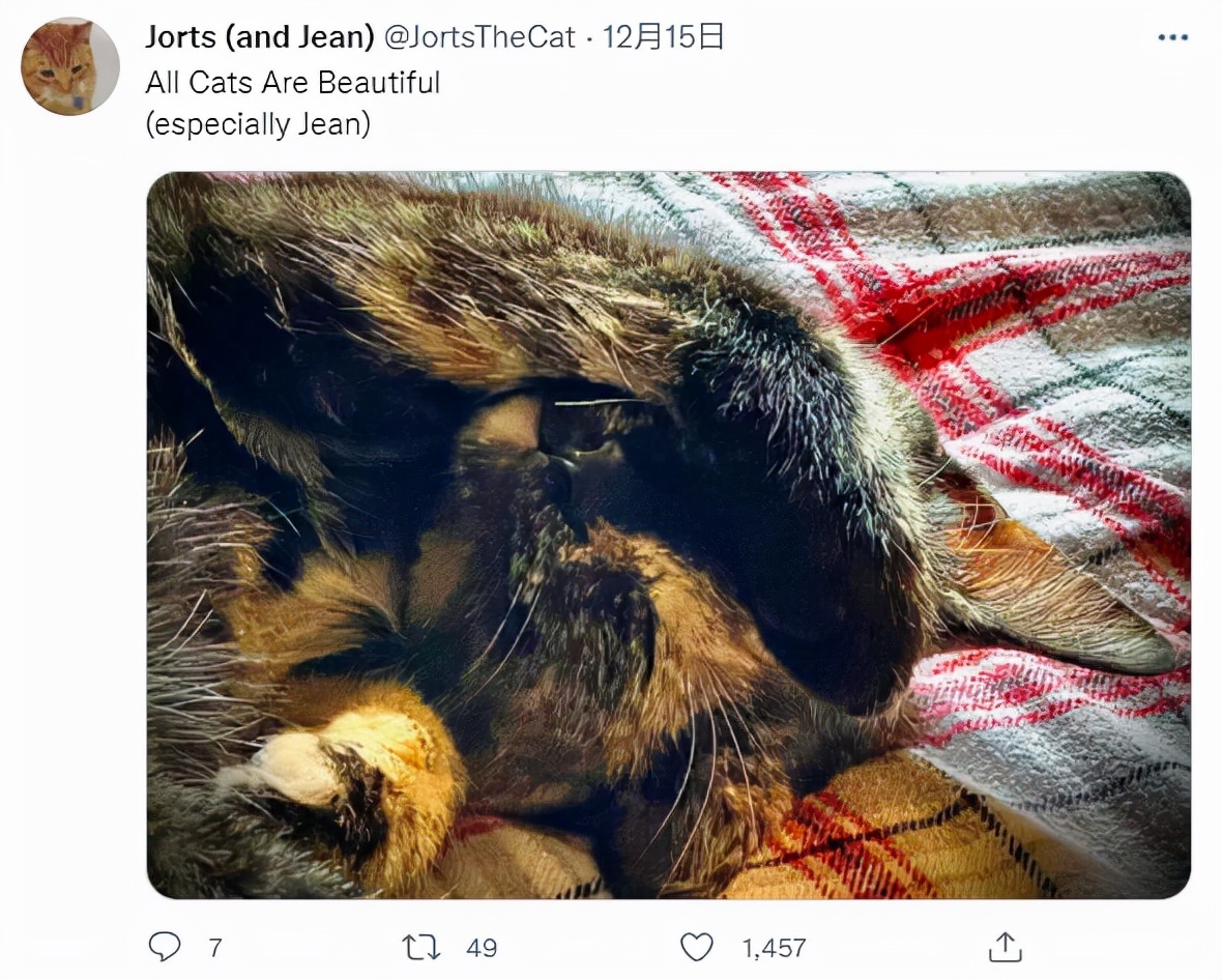 澶栧浗灏忓摜鍚愭Ы濂崇敓,澶栧浗灏忓摜鍚愭Ы宸ヤ綔