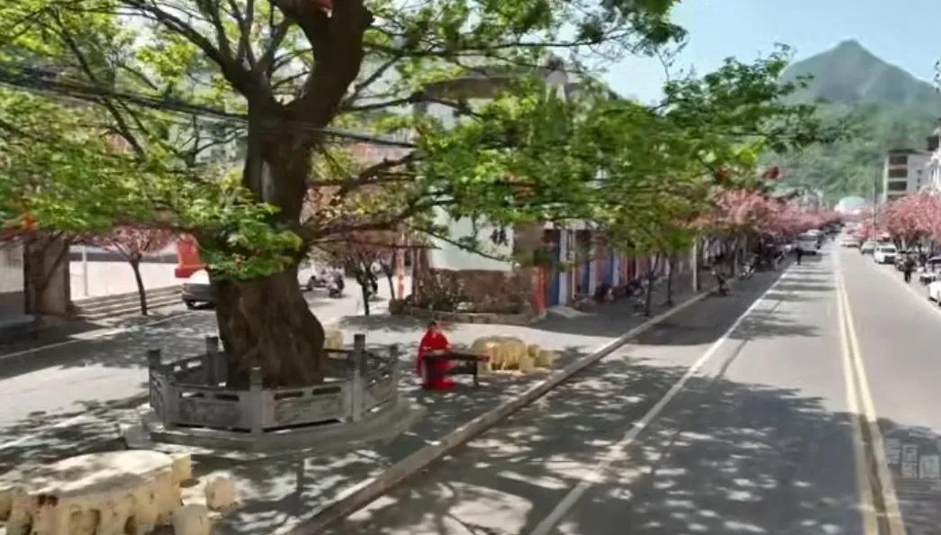 汝阳县行政村名（社区）你知道几个