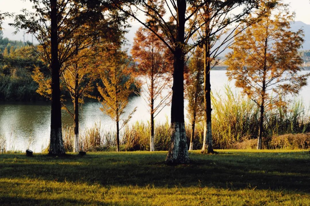 南方小众避寒好去处,今冬避寒好去处推荐