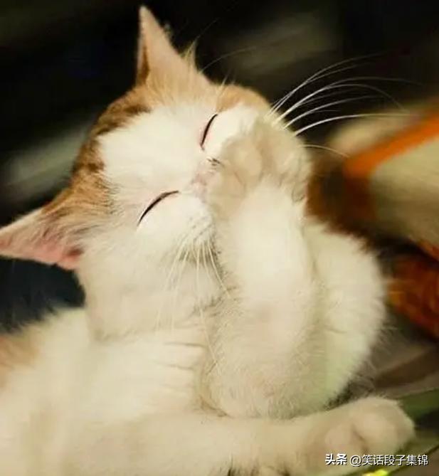 开家长会老师说我早恋,家长会老爸说我早恋