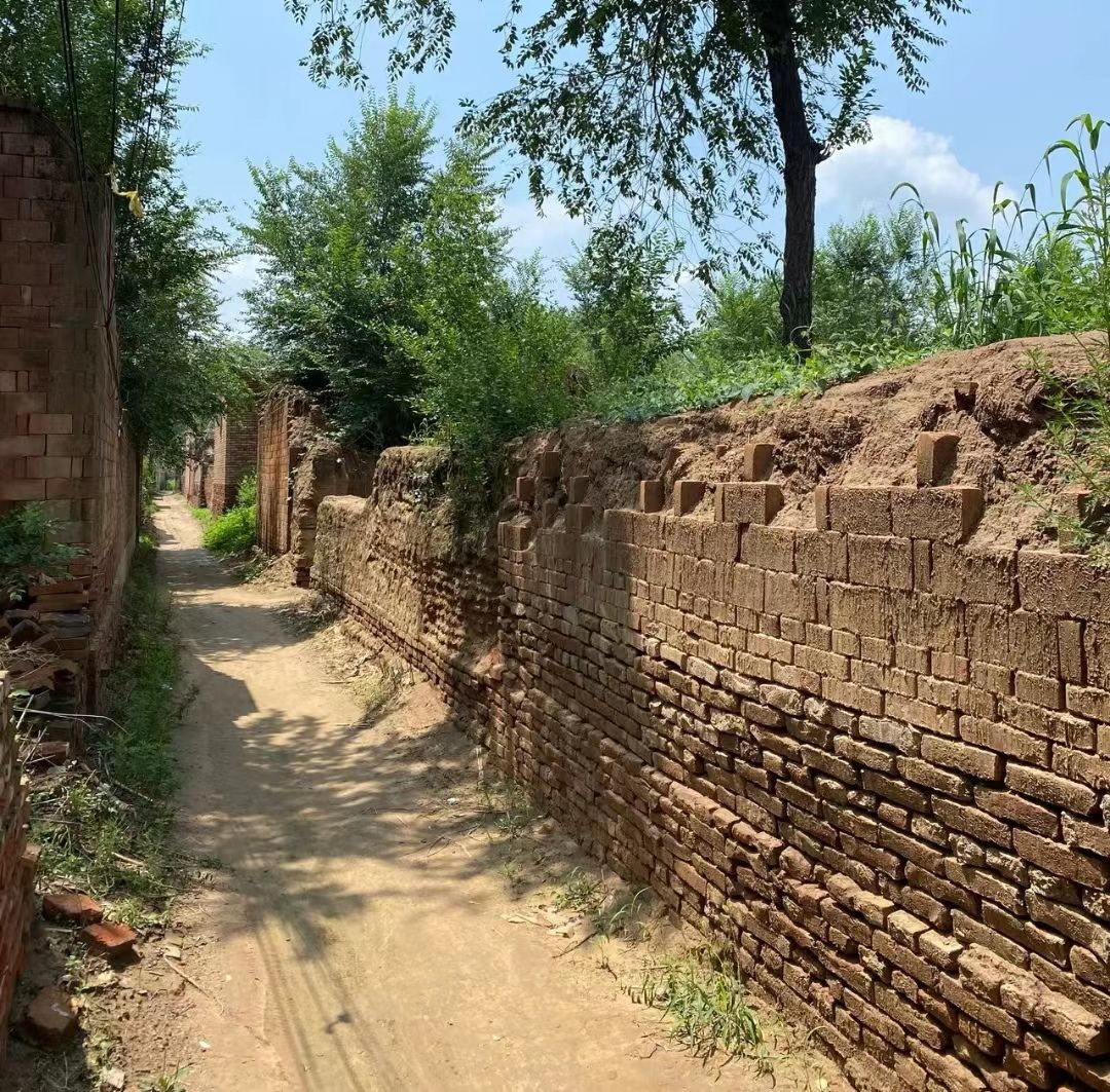 女人误入传销骗局,女大学生轻信网友误入传销窝点