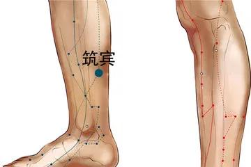 宁心安神选穴,董氏奇穴治疗烦躁不安