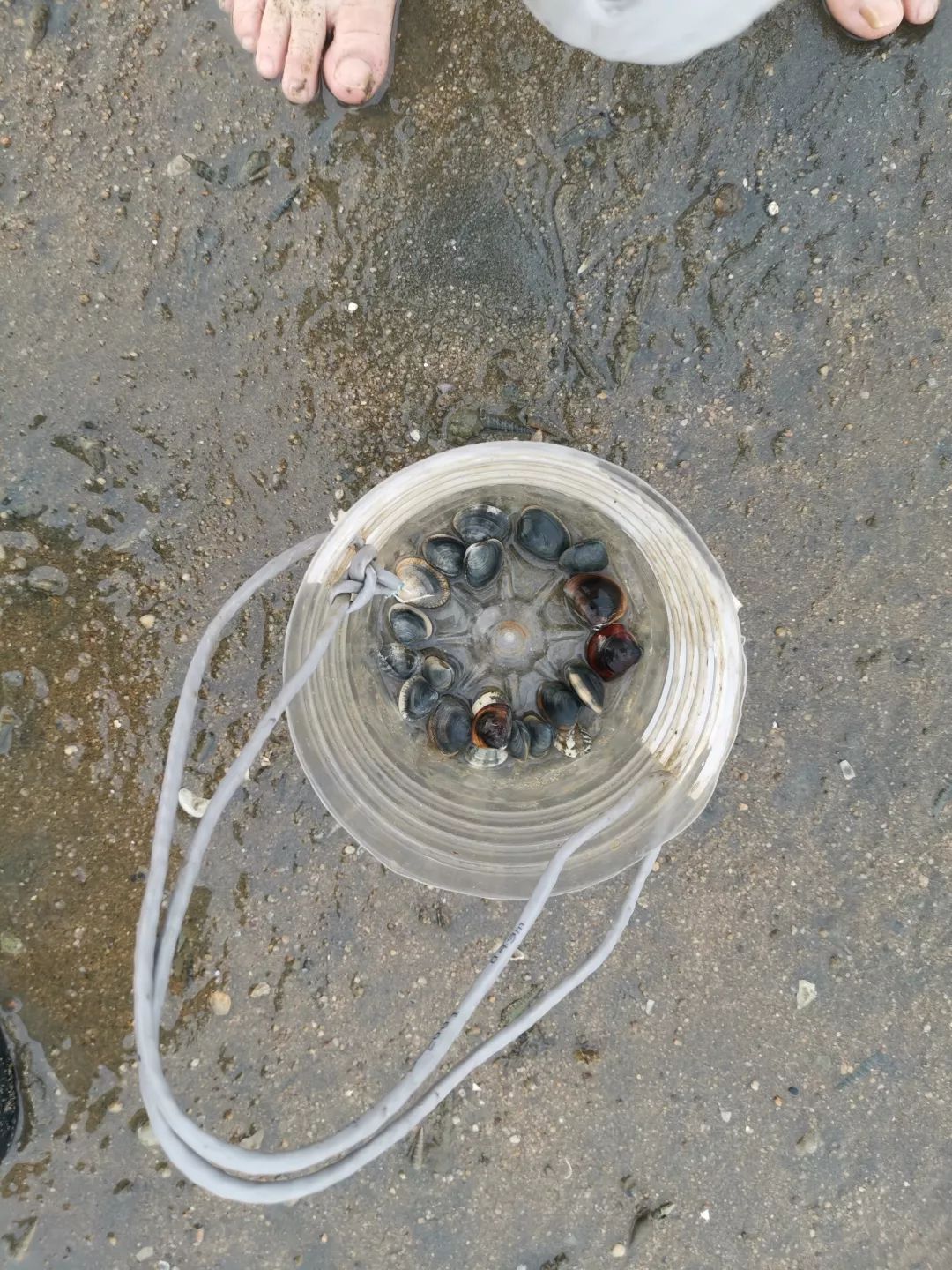 北海市港鹏公园印象二手房,广西北海印象物业公司