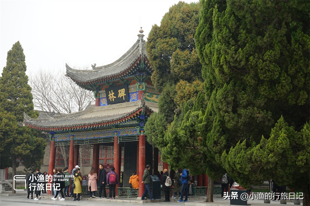 西安旅行必打卡的博物馆是哪个,西安旅游必去博物馆攻略图片欣赏