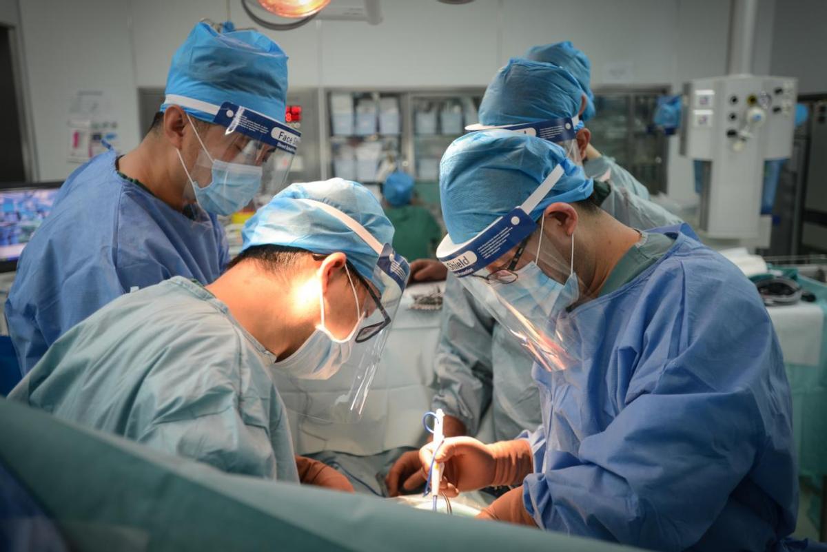 艾滋病的防治策略答案,艾滋病的元凶