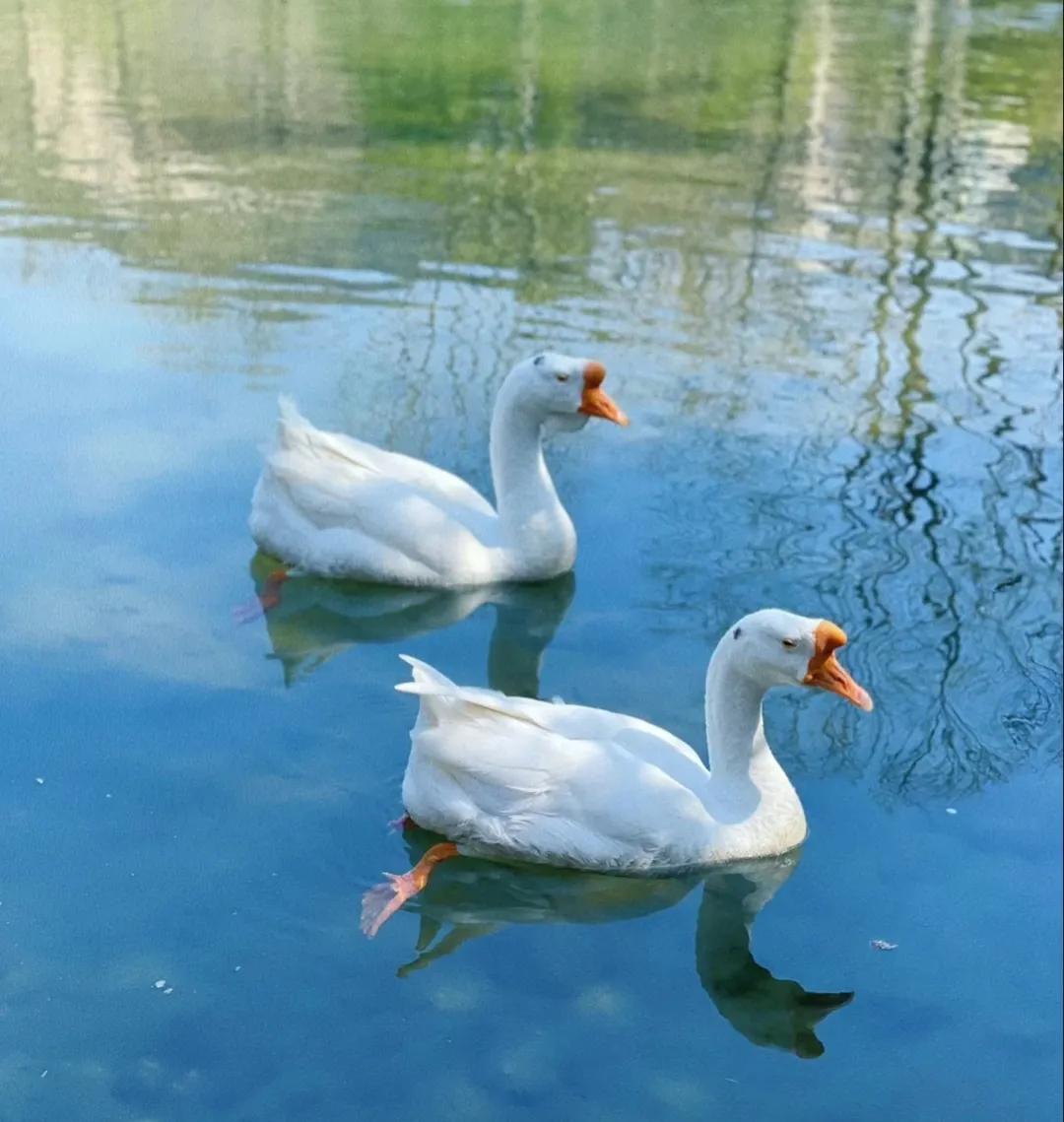 中国丝绸博物馆和中国之江博物馆,博物馆中国的服装