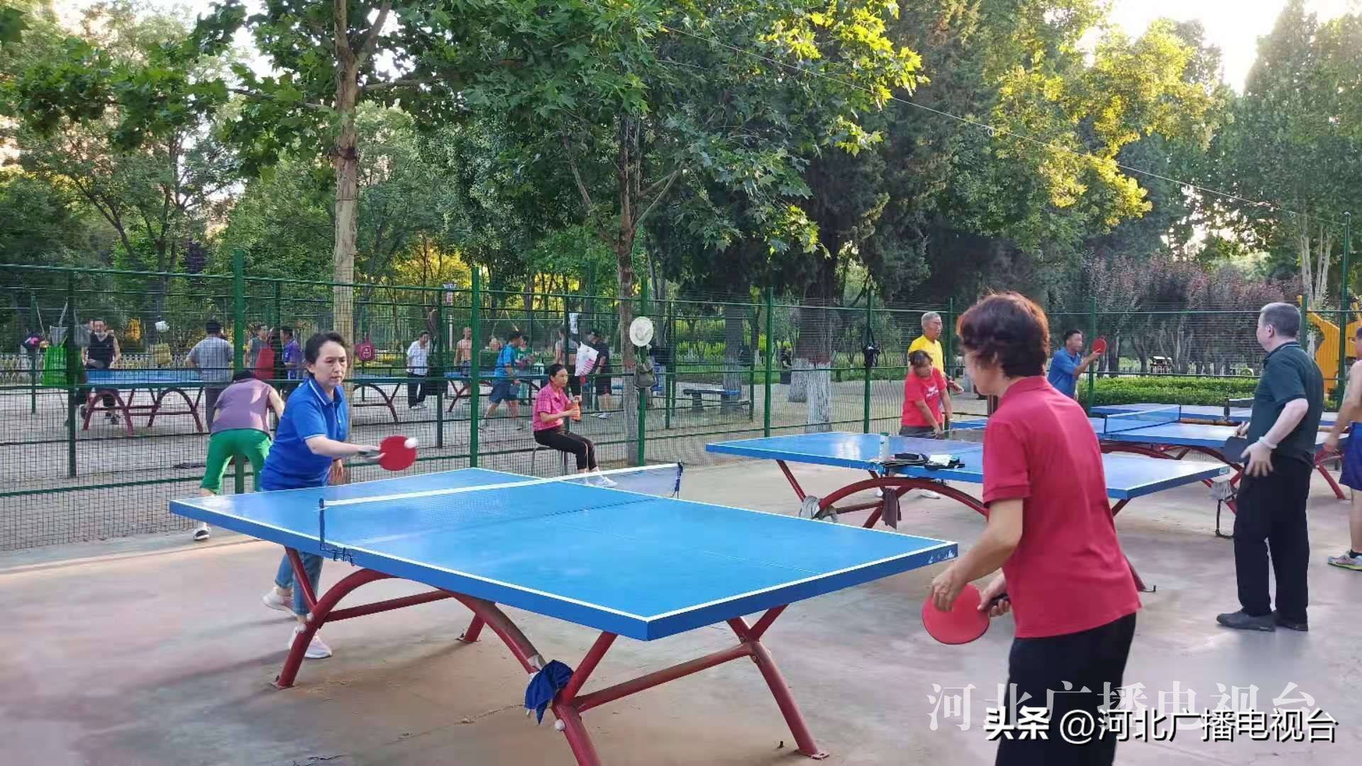 冀时体育,冀时报道