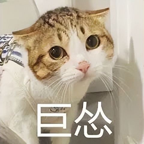 世界杯吉祥物创意美术,世界杯吉祥物灵感