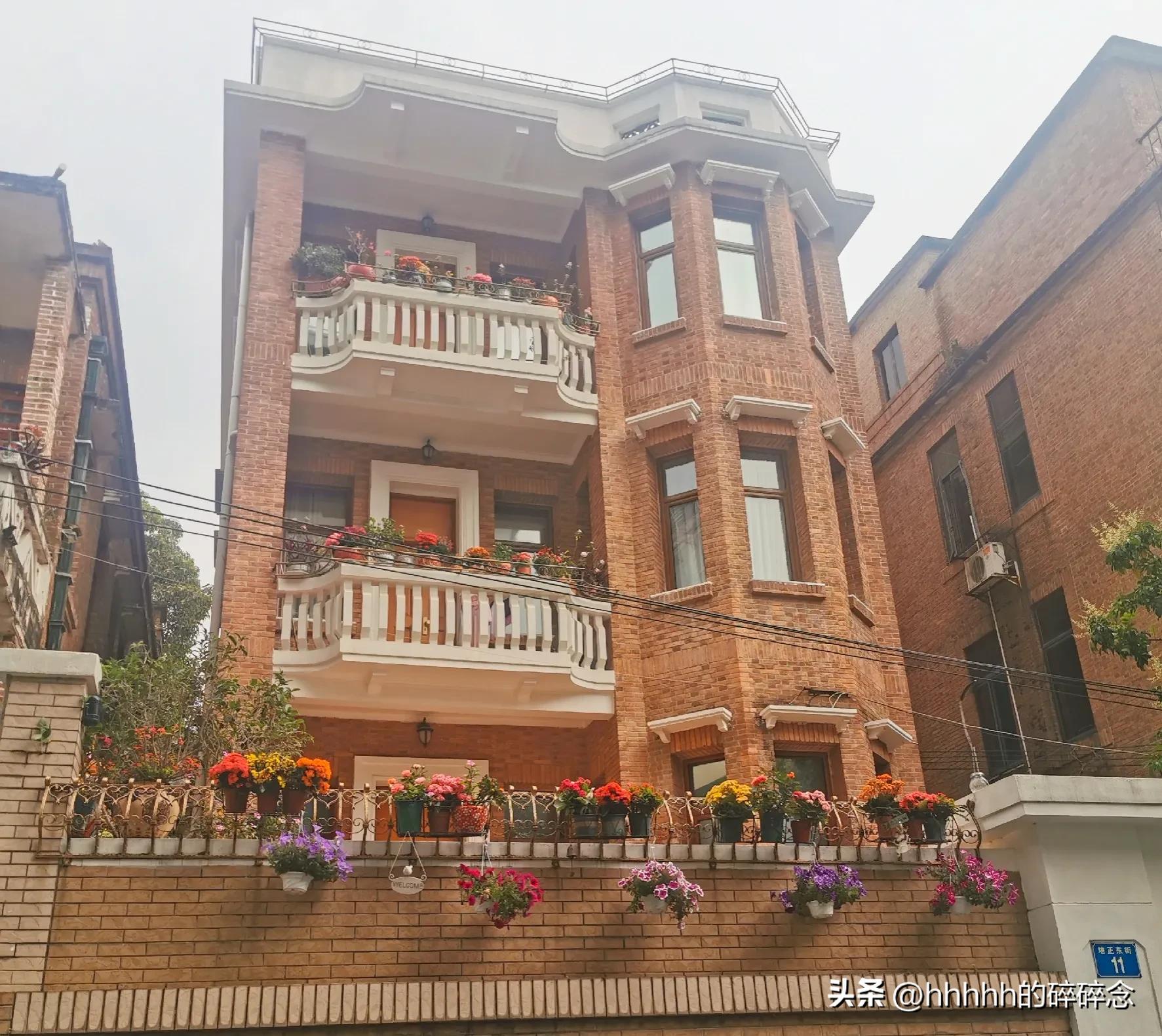 广州周边城市游三天两夜,广州长隆野生动物园两天一晚攻略