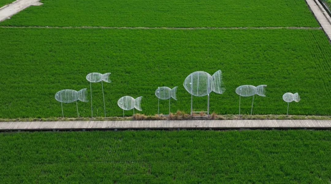 解析全国16个整村运营,解码全国16个整村运营经典案例