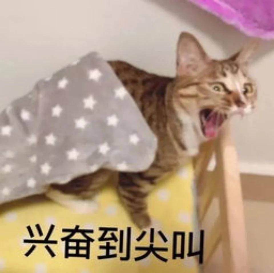 天津元宵灯会庙会景点哪个好玩,天津正月十六去哪有灯会庙会