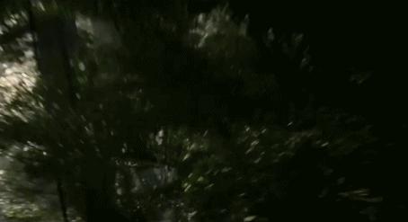 泰式恐怖和中式恐怖哪个厉害,泰式恐怖仪式