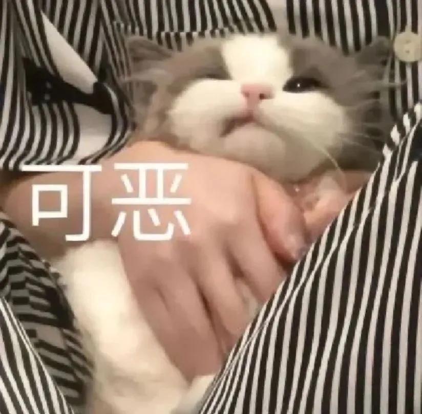 轻轻敲醒沉睡的心灵表情包高清,轻轻敲醒沉睡的心灵表情包