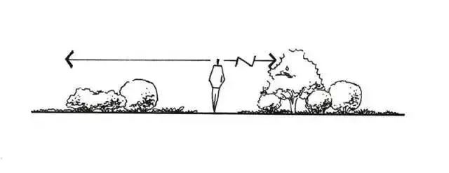 如何打造自己的小院,打造小院最省钱