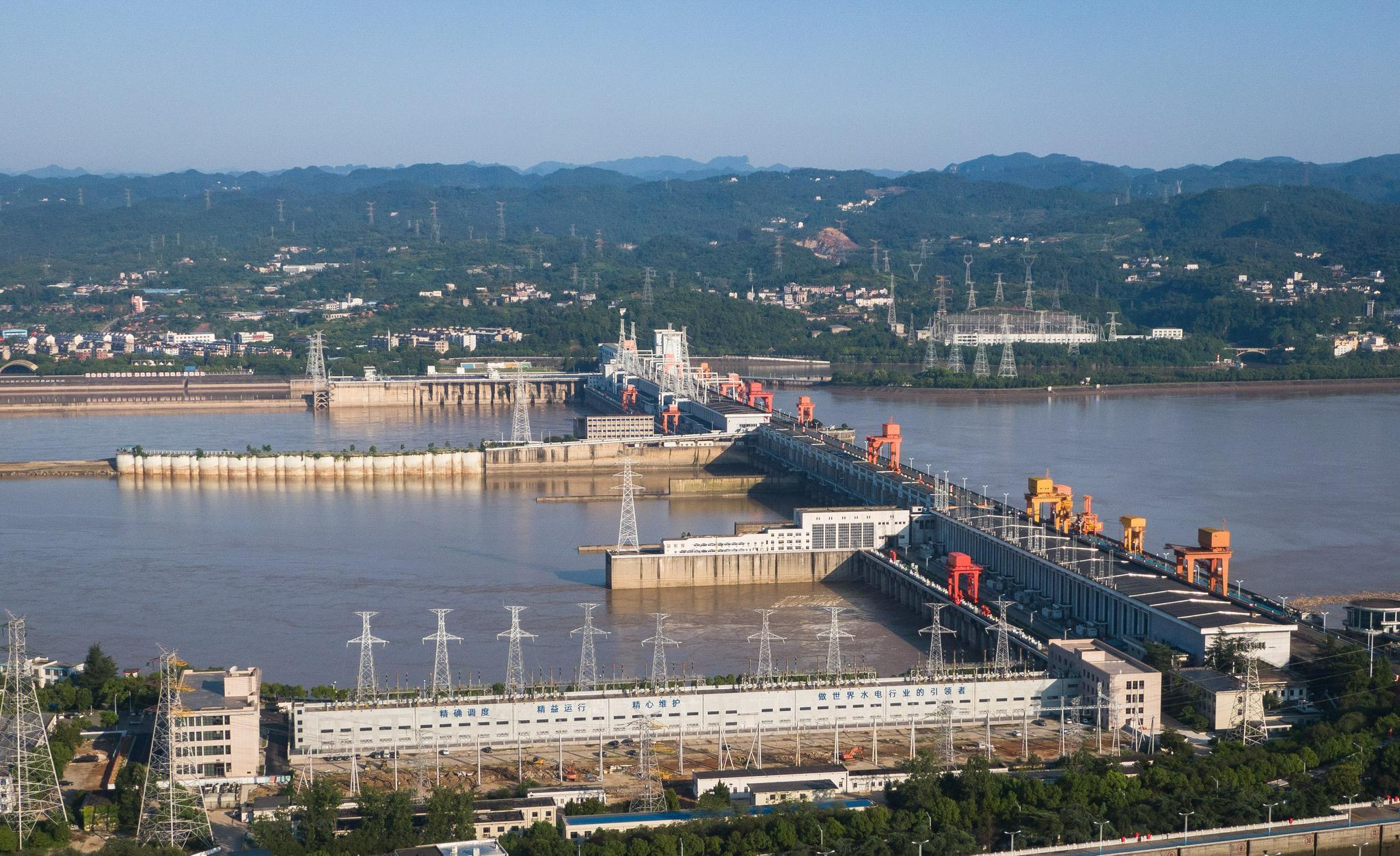 三峡大坝里面最大的鱼有多大,三峡大坝里最大的鱼