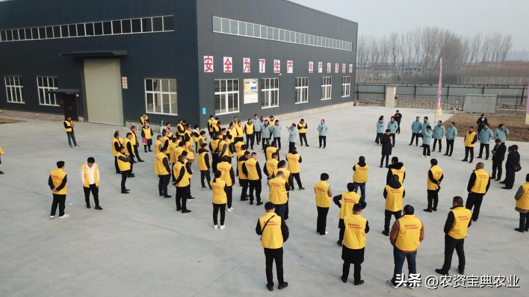 黄金棒819玉米种介绍,黄金棒YD819玉米种审定公告