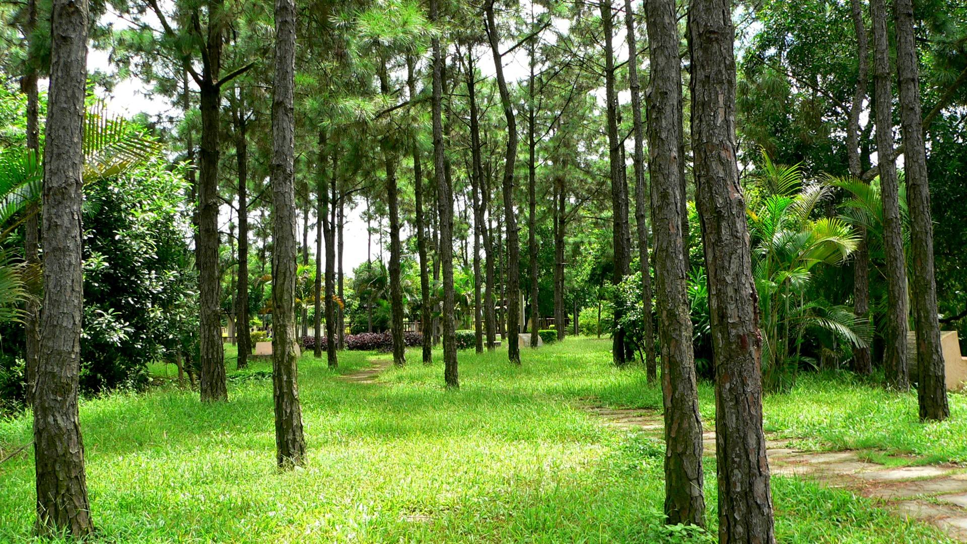测绘专业356分考研能上岸吗,医学考研比较容易上岸的专业