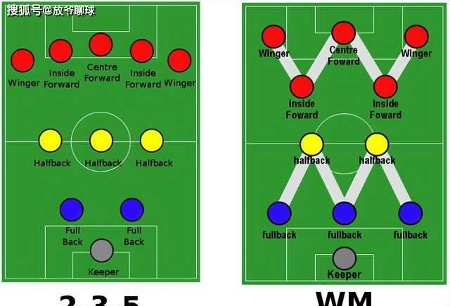 种子有多么关键,种子最重要的部分是哪里