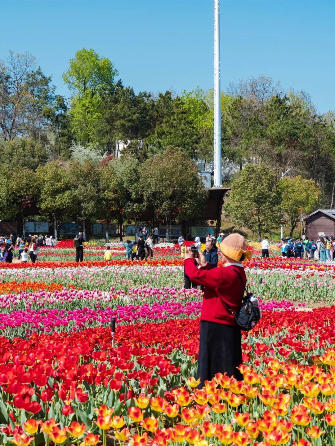 东湖樱园暂停营业原因,东湖樱花园暂停开放该从哪进