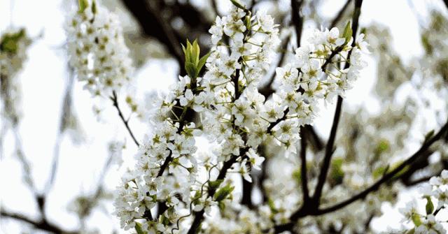苏州京杭大运河健身步道,苏州环古城健身步道图