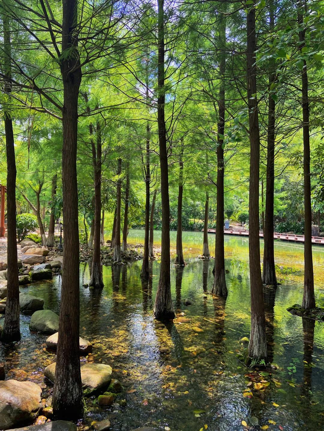 韶关翁源冷泉滩旅游攻略,去韶关丹霞山旅游攻略一日游