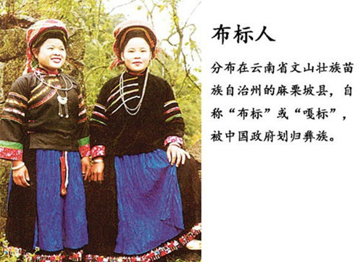 56个民族以外的中国45个人数更少的民族