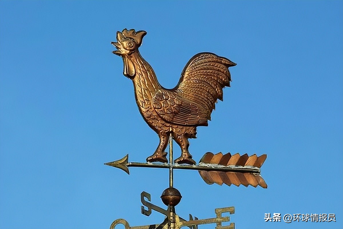 法国人的精神象征,为什么法国人自称高卢雄鸡