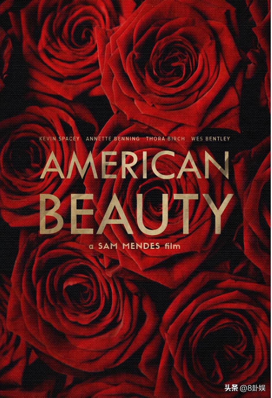 美国丽人人物分析,美国丽人反映了什么社会现象