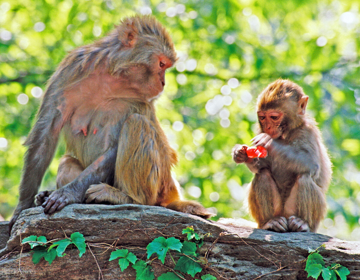 江苏旅游必去的十大景点推荐,江苏旅游攻略必去景点一日游推荐