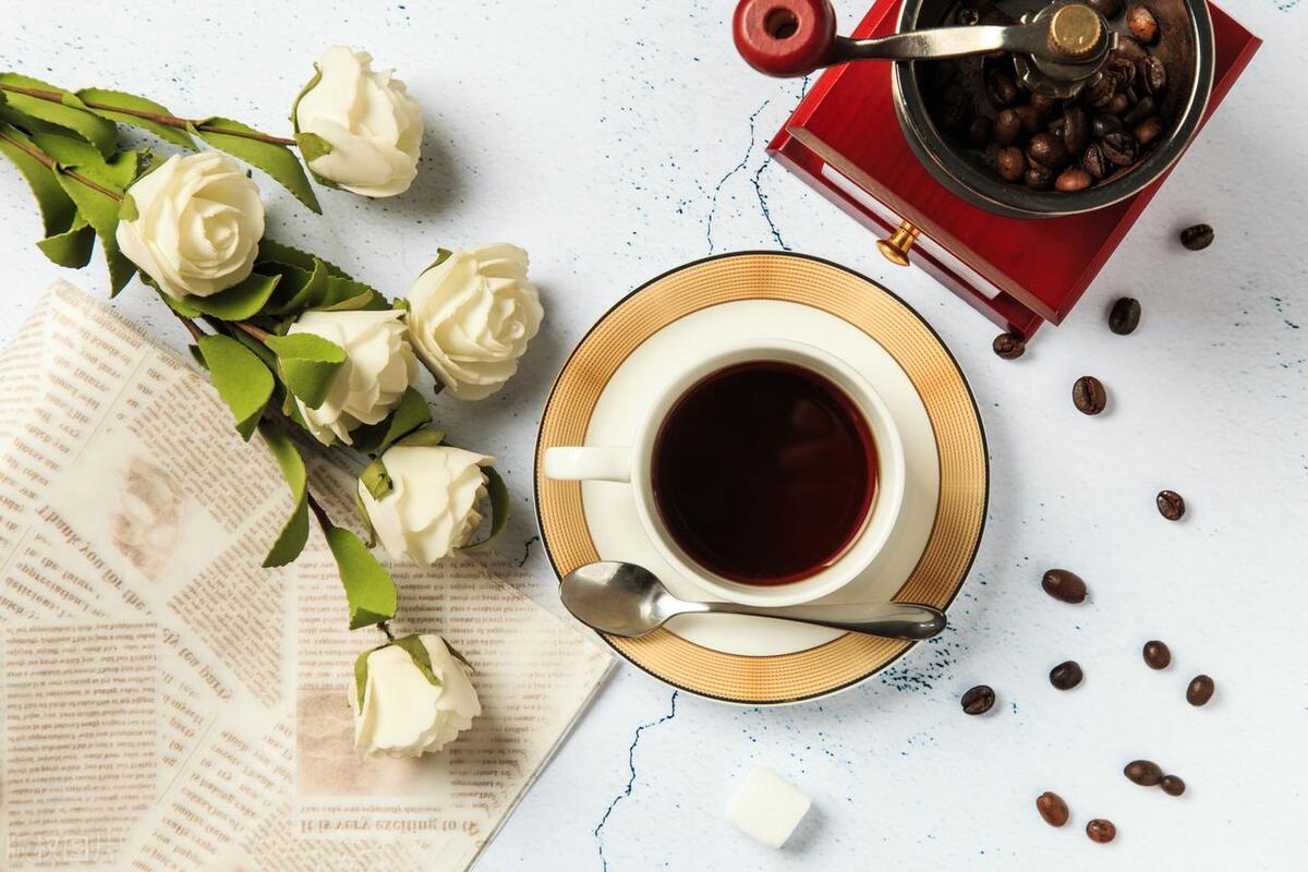 外研三版五年级下册知识点,外研版三年级起点六年级下册