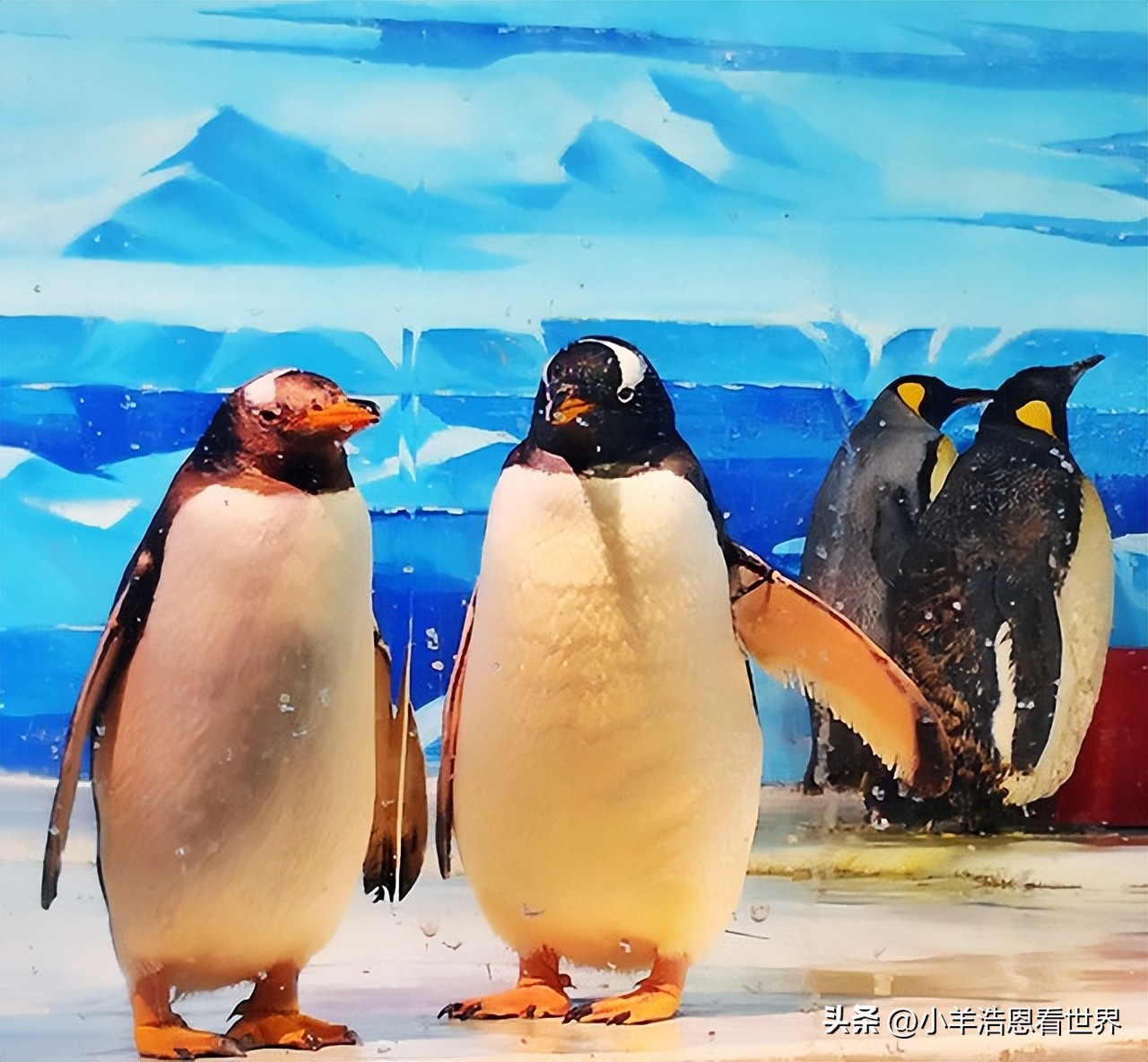 辽宁最值得去的十个景点,辽宁必去十大景点有哪些