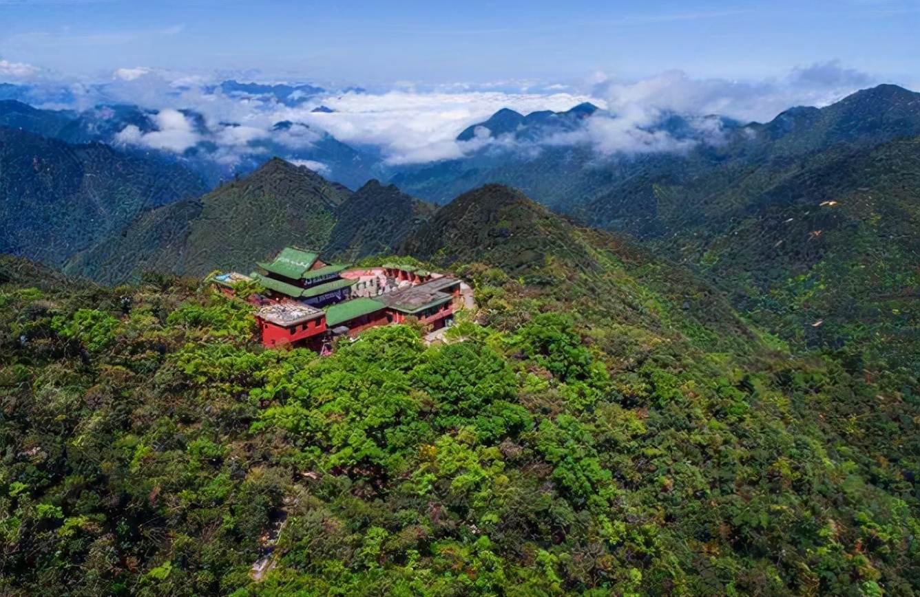 1989年，他发现价值百万的莽山烙铁头，被咬20多次，如今生活怎样