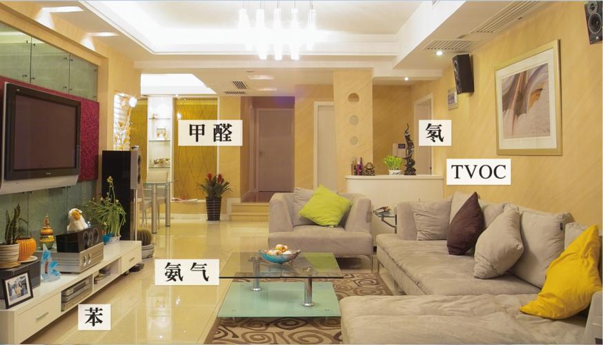 新房装修除甲醛什么植物最好,新房装修入住如何除甲醛