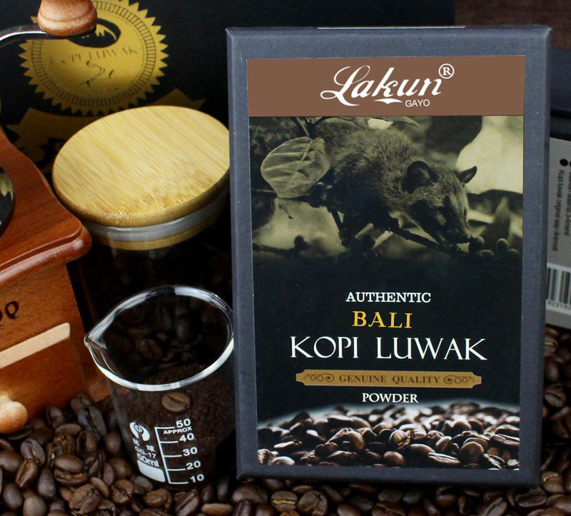 深圳出现“小灵猫”，全身灰黑色斑纹像老鼠，最爱钻进古墓去住？