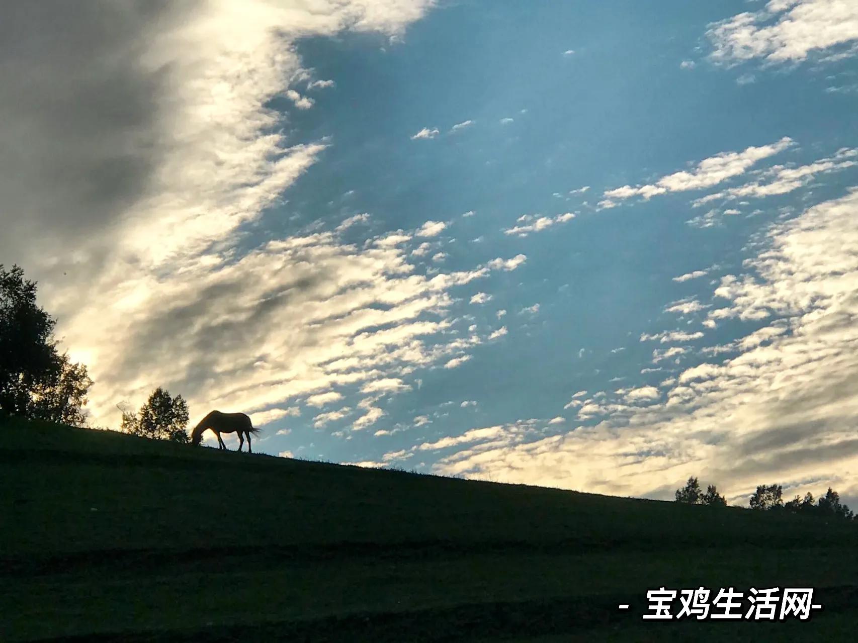 用宝鸡山水为《牧羊曲》配插图，日出嵩山坳，晨钟惊飞鸟