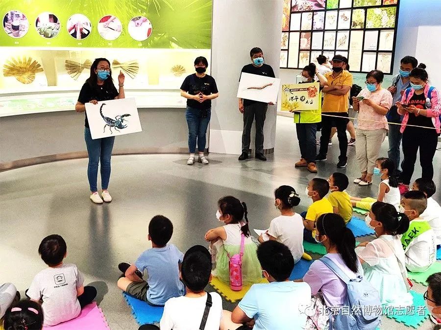 北京自然博物馆老年人免票吗,北京自然博物馆五一