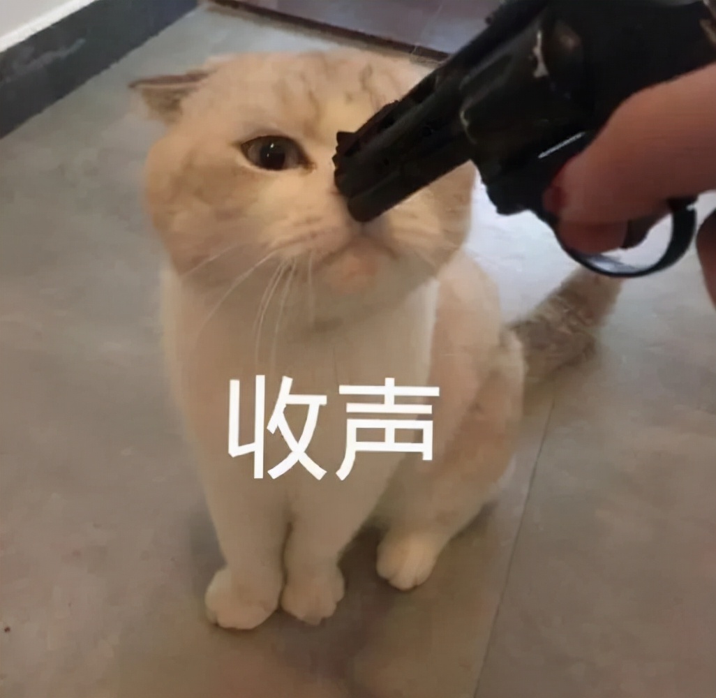 猫咪口臭的原因及治疗方法,猫咪口臭怎么办3大原因分析