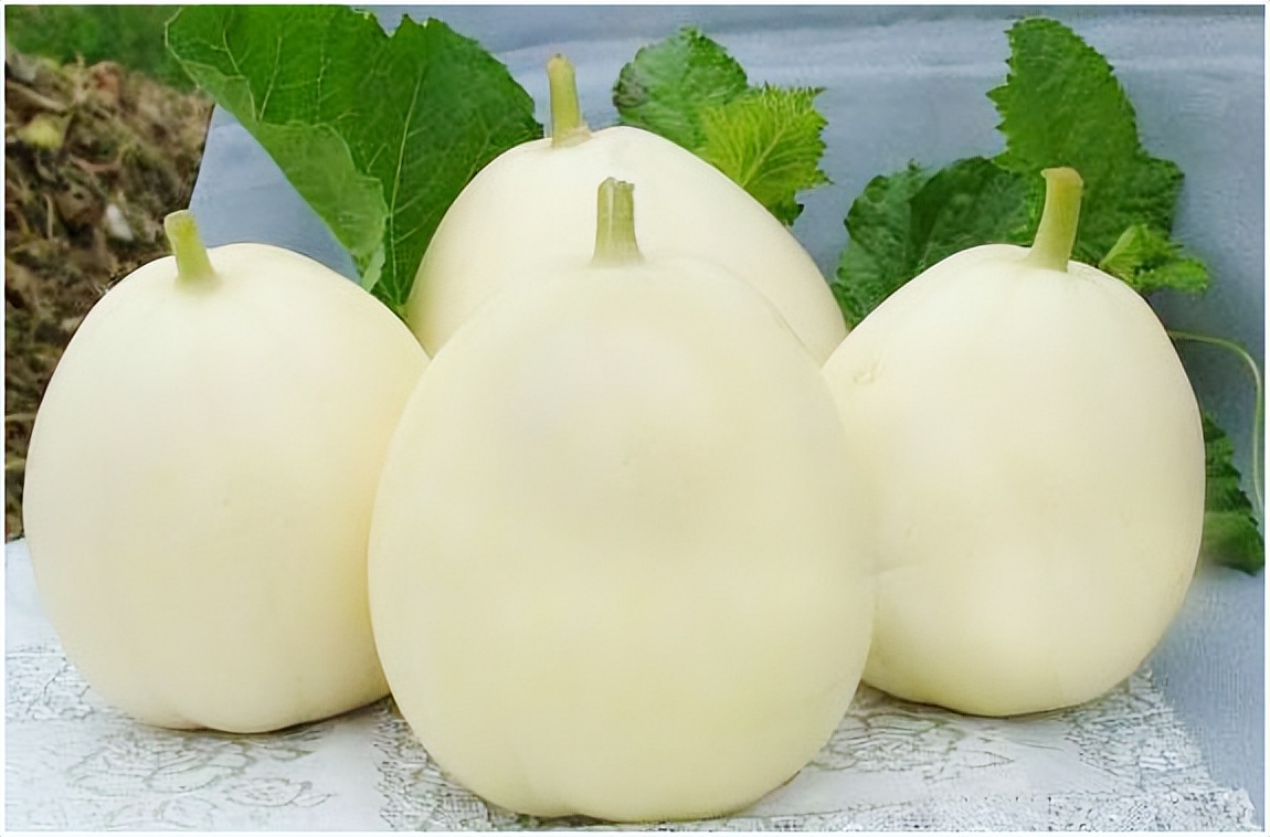 买香瓜是白绿皮还是黄皮好,香瓜选瓜脐凸出来的还是凹进去的