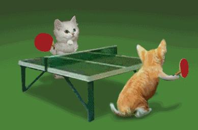 乒乓球基本知识普及史上最全,乒乓球十大基础知识