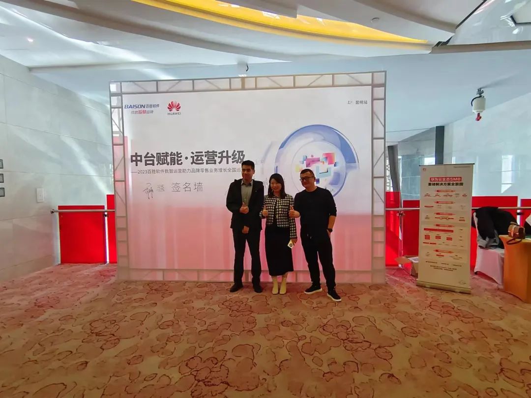 百胜软件管理系统,百胜软件管理系统教程