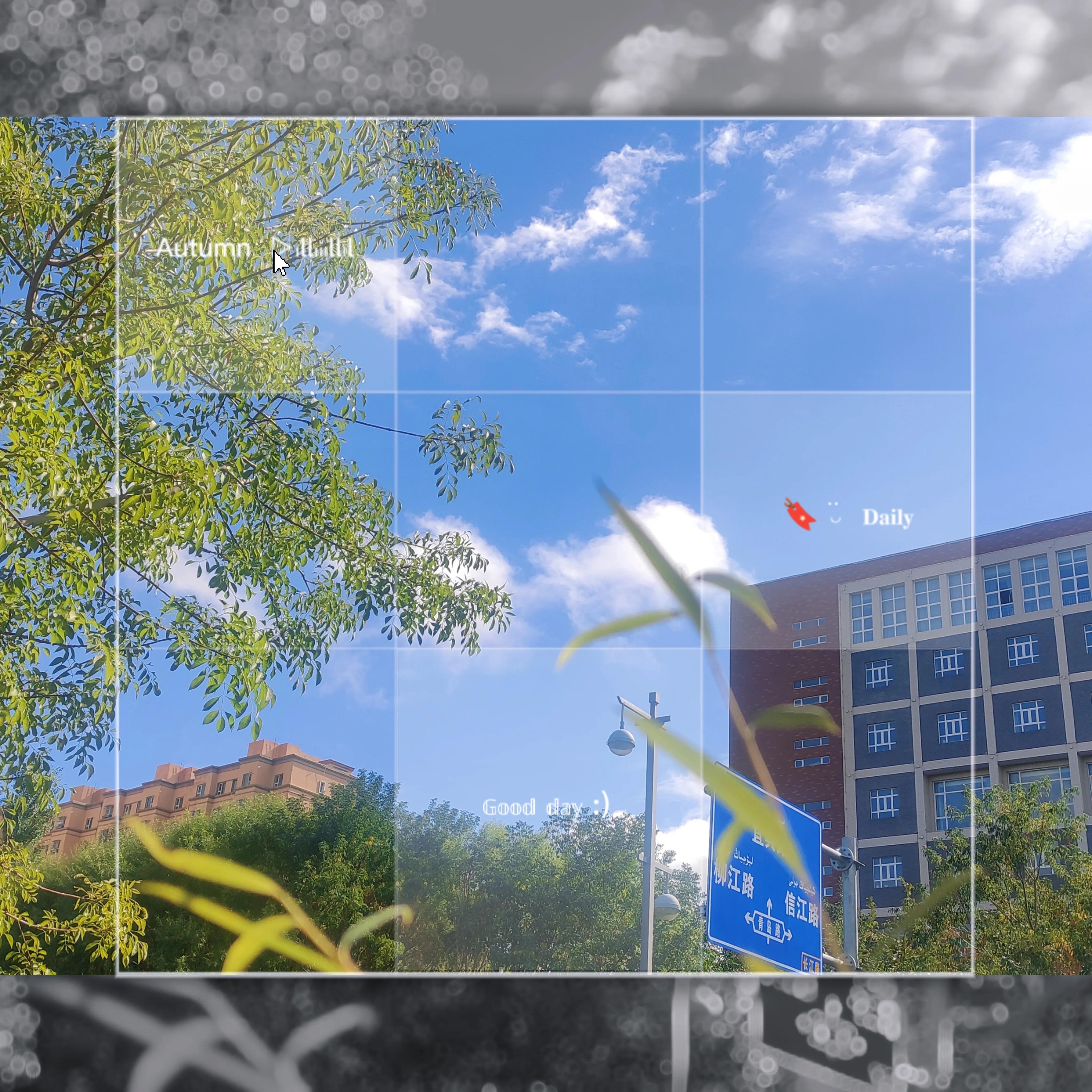 疫情之下小区秋色荡漾,疫情之下绣湖路