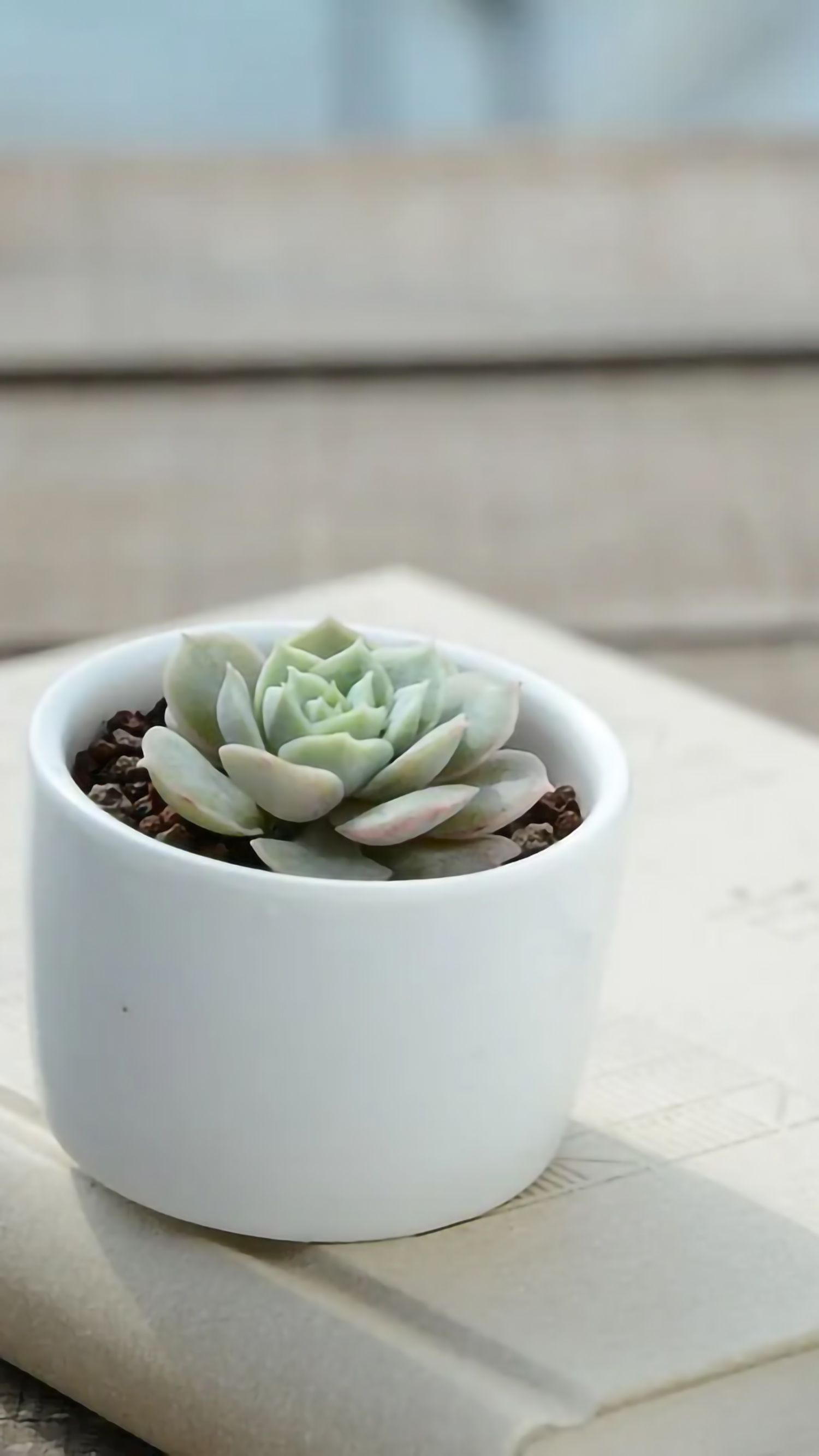 好看的手机桌面壁纸和锁屏壁纸,总有一张壁纸适合你手机屏保精选