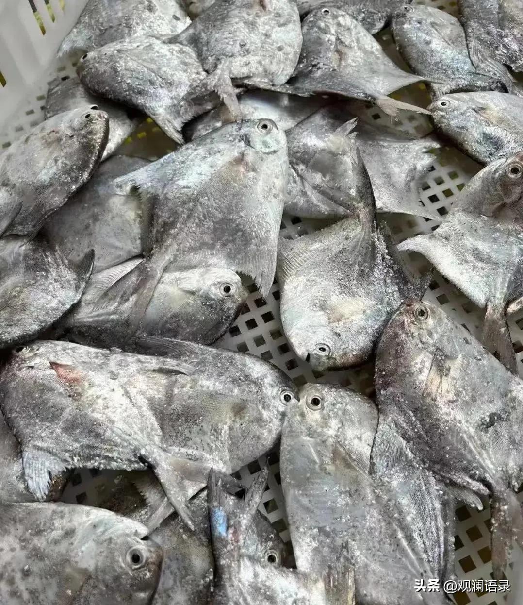 10道经典外卖菜,外卖十道必备菜