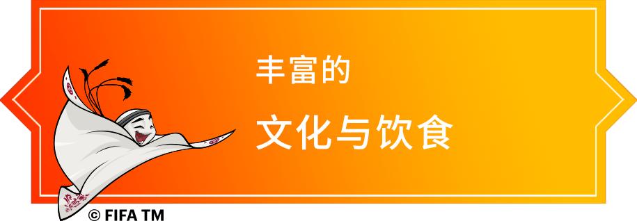 卡塔尔世界杯32强巡礼|64年追梦成真的威尔士队