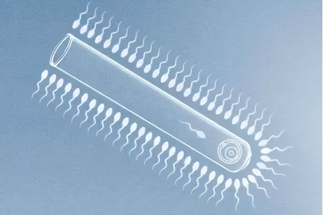 东北女生花50万试管婴儿,女子花50万生混血孩子