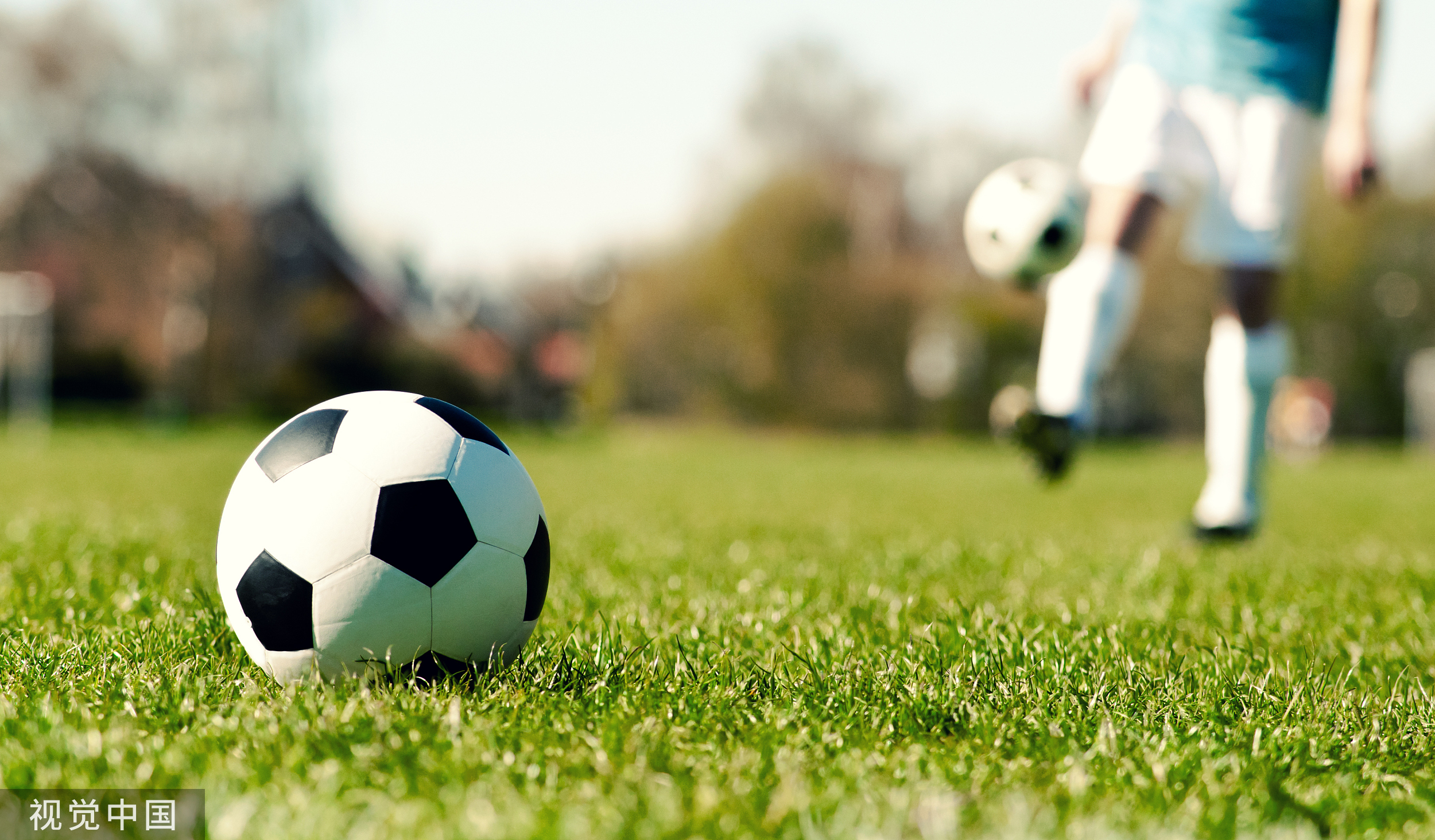 清除陈戌源，更要清除“陈戌源们”出现的土壤